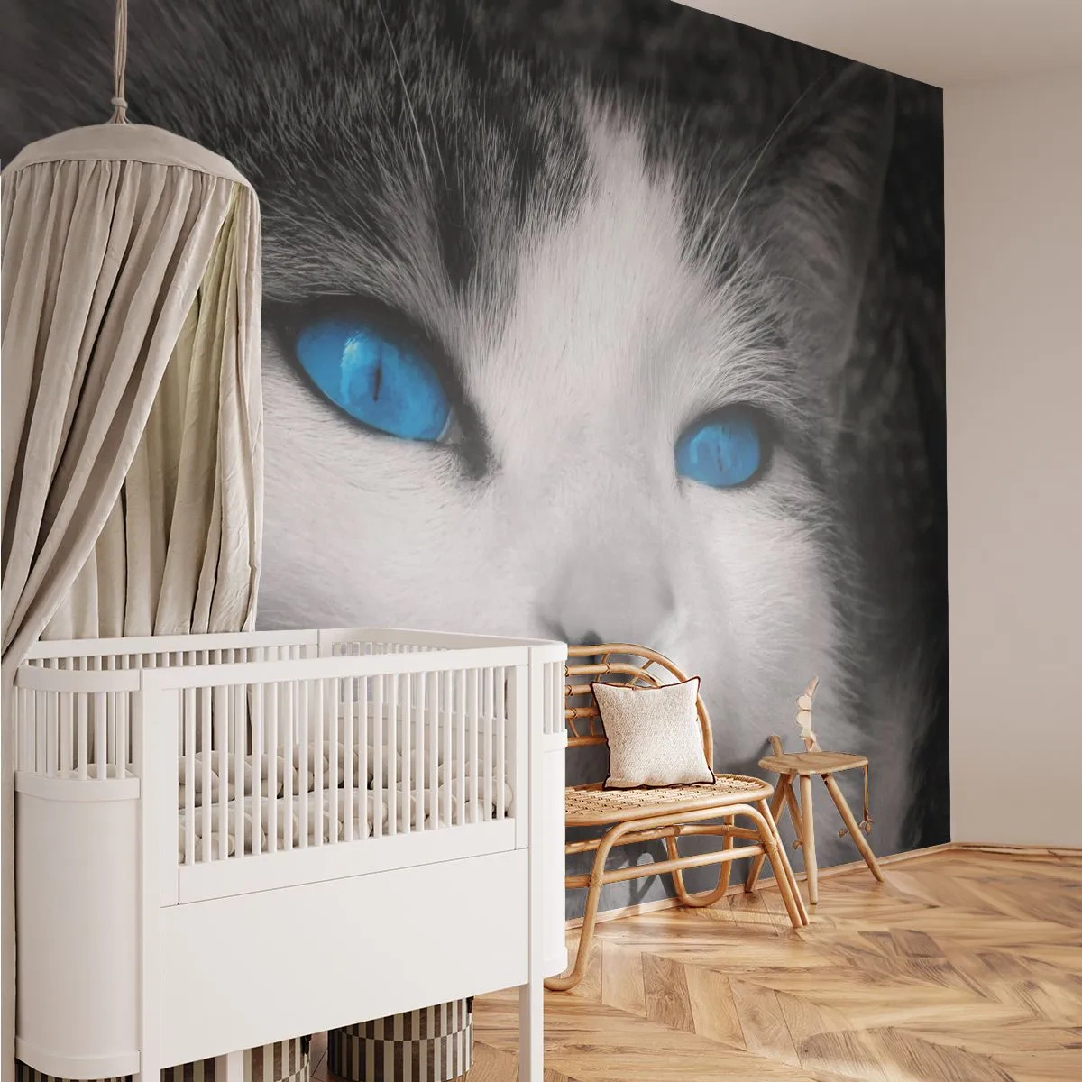 Fotomurali Premium Canvas - Insoliti occhi azzurri - Animali, Gatto, Occhi azzurri - 350x256 cm
