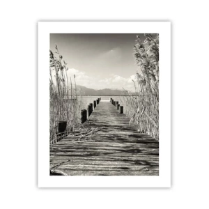 Poster - Nel silenzio dell'erba - 40x50 cm