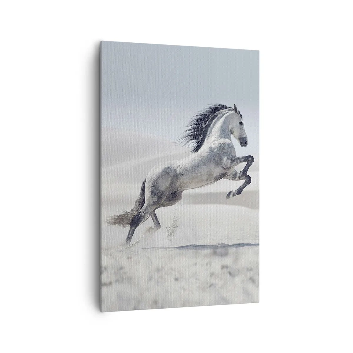 Quadro su tela - Stampe su Tela - Un cavallo bianco al galoppo sullo sfondo delle dune del deserto - 80x120cm - Il principe arabo - Decorazione murale moderna per soggiorno e camera da letto ARTTOR