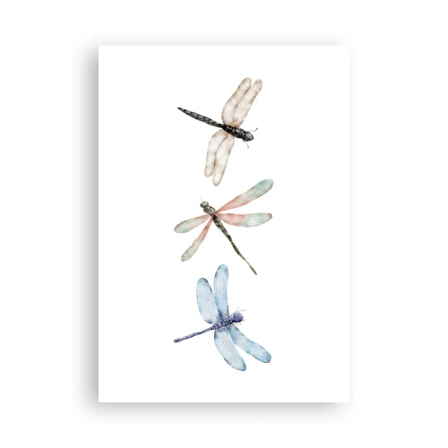 Poster - Libellule senza peso - 70x100 cm