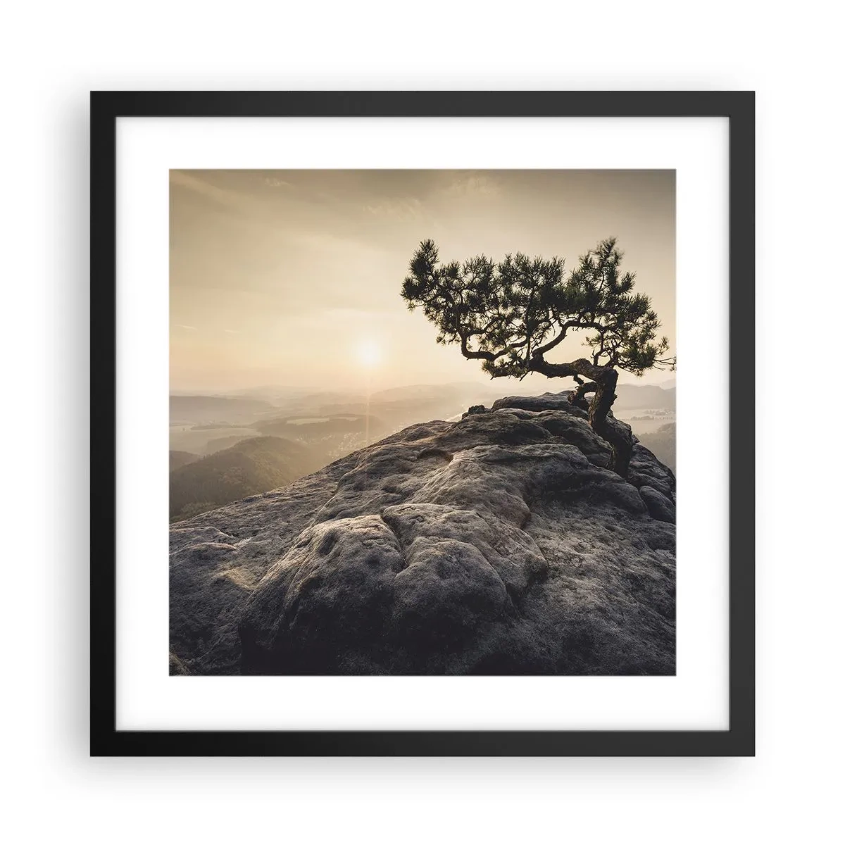 Poster in cornice nera - La vita vince sempre - 40x40 cm