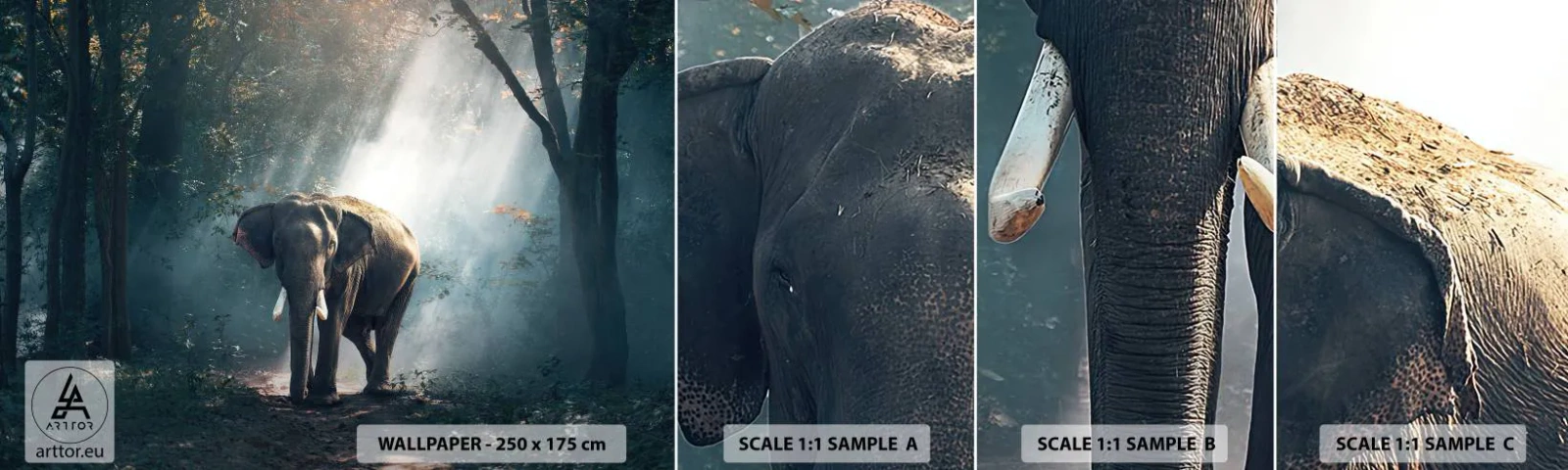 Campione di Fotomurale Adesivo Deluxe Sticker - Tranquilla passeggiata - Animali, Elefante, Giungla - 100x30 cm