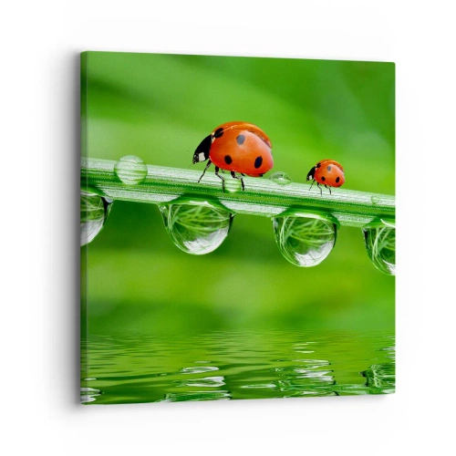 Quadro su tela - Stampe su Tela - In cammino per tutta l'estate - 30x30 cm