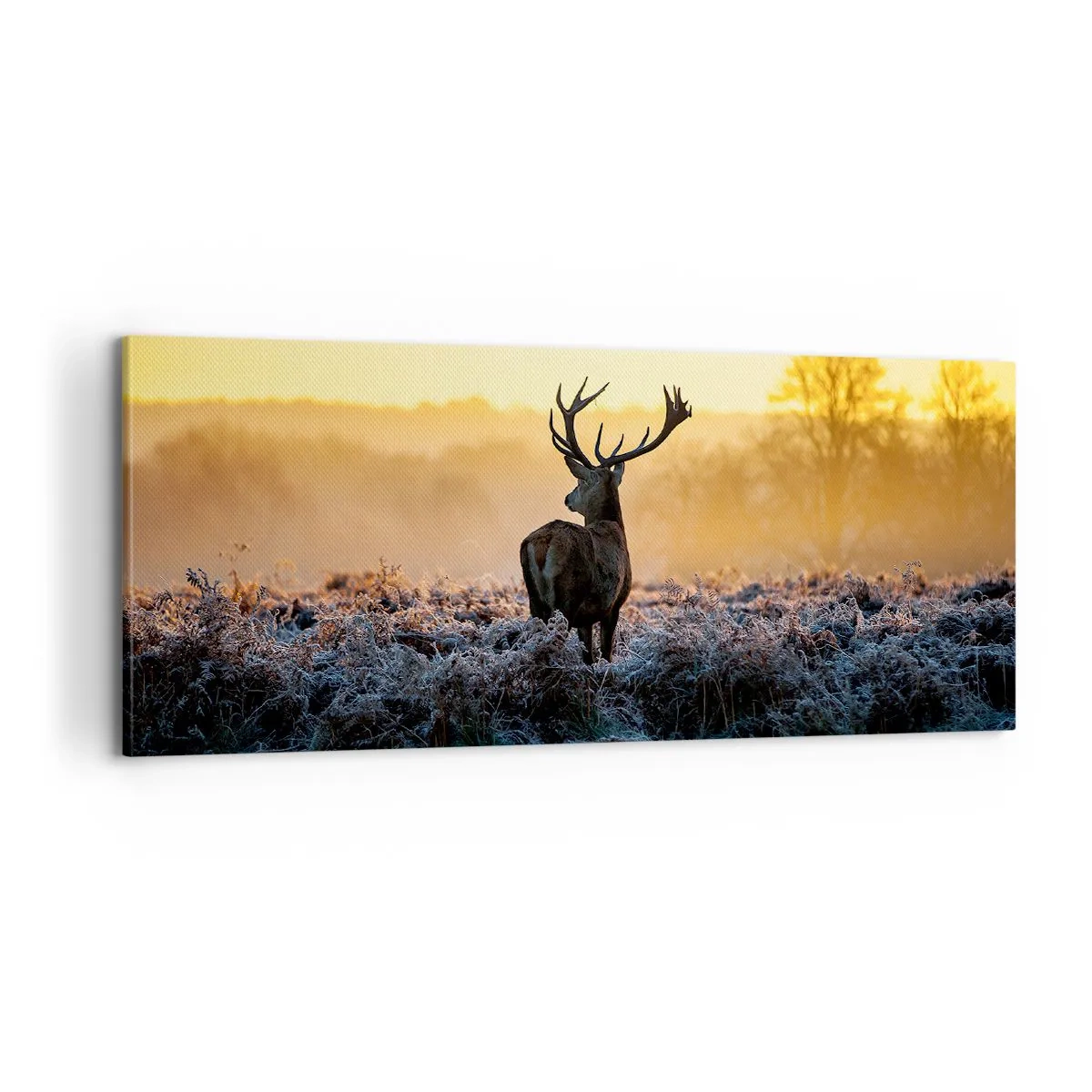 Quadro su tela - Stampe su Tela - Incoronato nelle sue terre - 100x40 cm