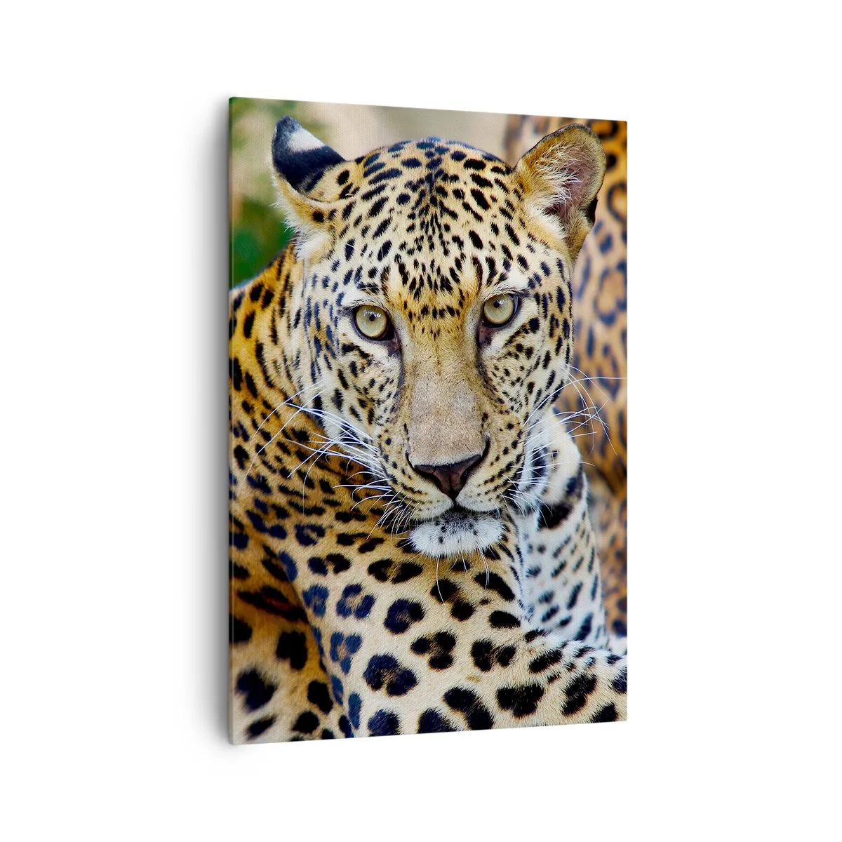 Quadro su tela - Stampe su Tela - Giaguaro che riposa in un ambiente naturale con sfondo verde. - 70x100cm - Selvaggio e tranquillo - Decorazione murale moderna per soggiorno e camera da letto ARTTOR