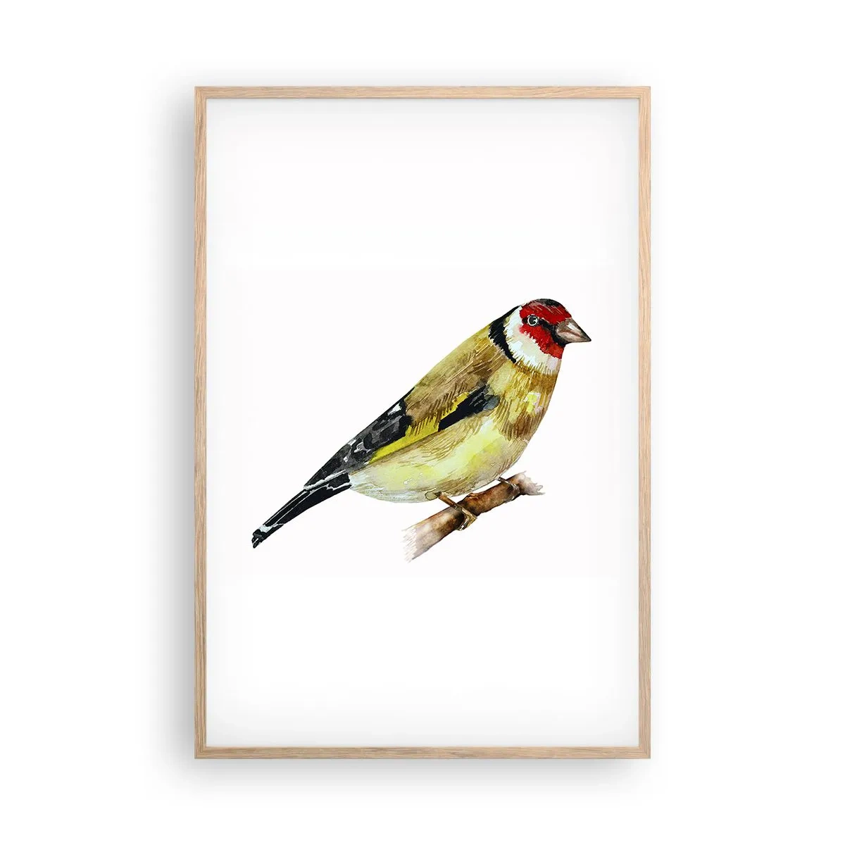 Poster in cornice rovere chiaro - Ritratto di uccello - 61x91 cm