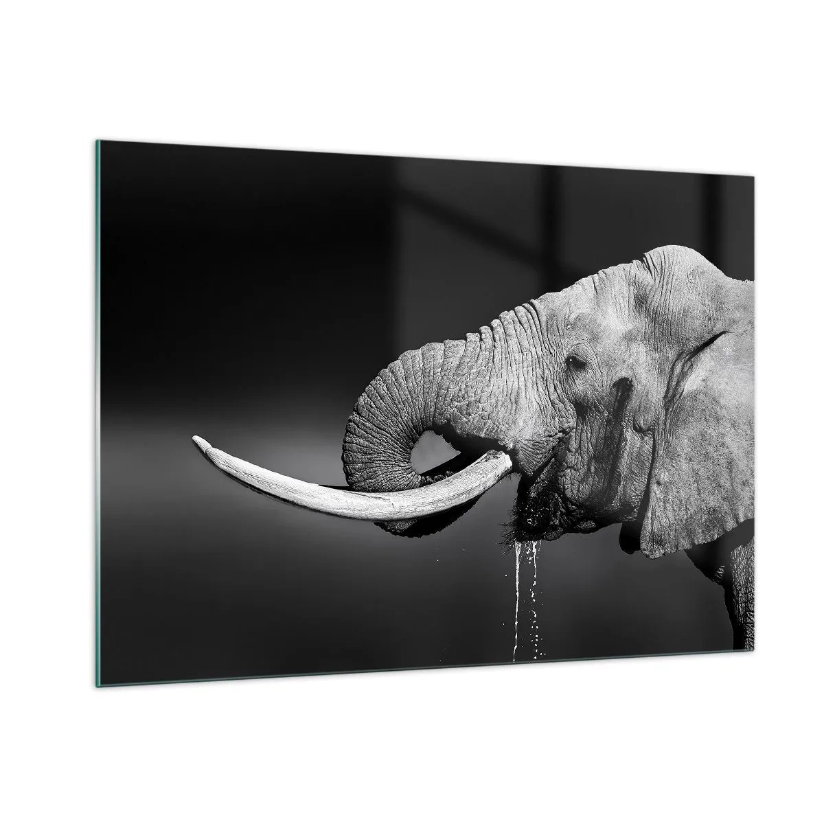 Quadro su vetro - Ritratto in bianco e nero di un elefante con proboscide - 100x70cm - Si, adesso va bene - Decorazione murale moderna per soggiorno e camera da letto ARTTOR