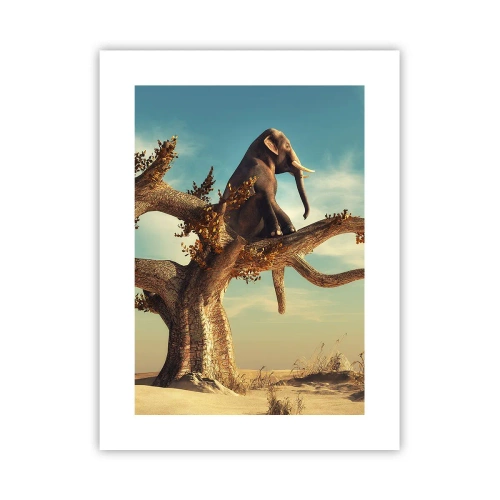 Poster - Nuovo punto di vista - 30x40 cm