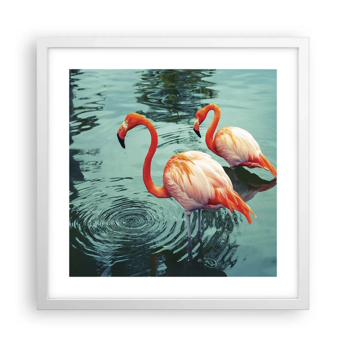 Poster in cornice bianca - Adesso siamo di moda - 40x40 cm