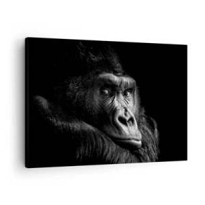 Quadro su tela - Stampe su Tela - Ritratto in bianco e nero di un maestoso gorilla - 70x50cm - E cosa guardi? - Decorazione murale moderna per soggiorno e camera da letto ARTTOR