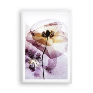 Poster in cornice bianca - Fiori trasparenti - 61x91 cm