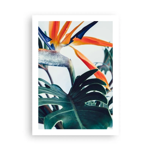Poster - Primo piano di un fiore di strelitzia circondato da foglie verdi - 50x70cm - Pianta uccello - Decorazione murale moderna per soggiorno e camera da letto ARTTOR