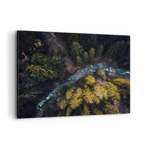 Quadro su tela - Stampe su Tela - Una vista dall'alto di una foresta con un fiume tortuoso - 120x80cm - Sempre più veloce - Decorazione murale moderna per soggiorno e camera da letto ARTTOR