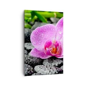 Quadro su tela - Stampe su Tela - Orchidea rosa su pietre nere bagnate con foglie verdi - 80x120cm - Come un cuore aperto - Decorazione murale moderna per soggiorno e camera da letto ARTTOR