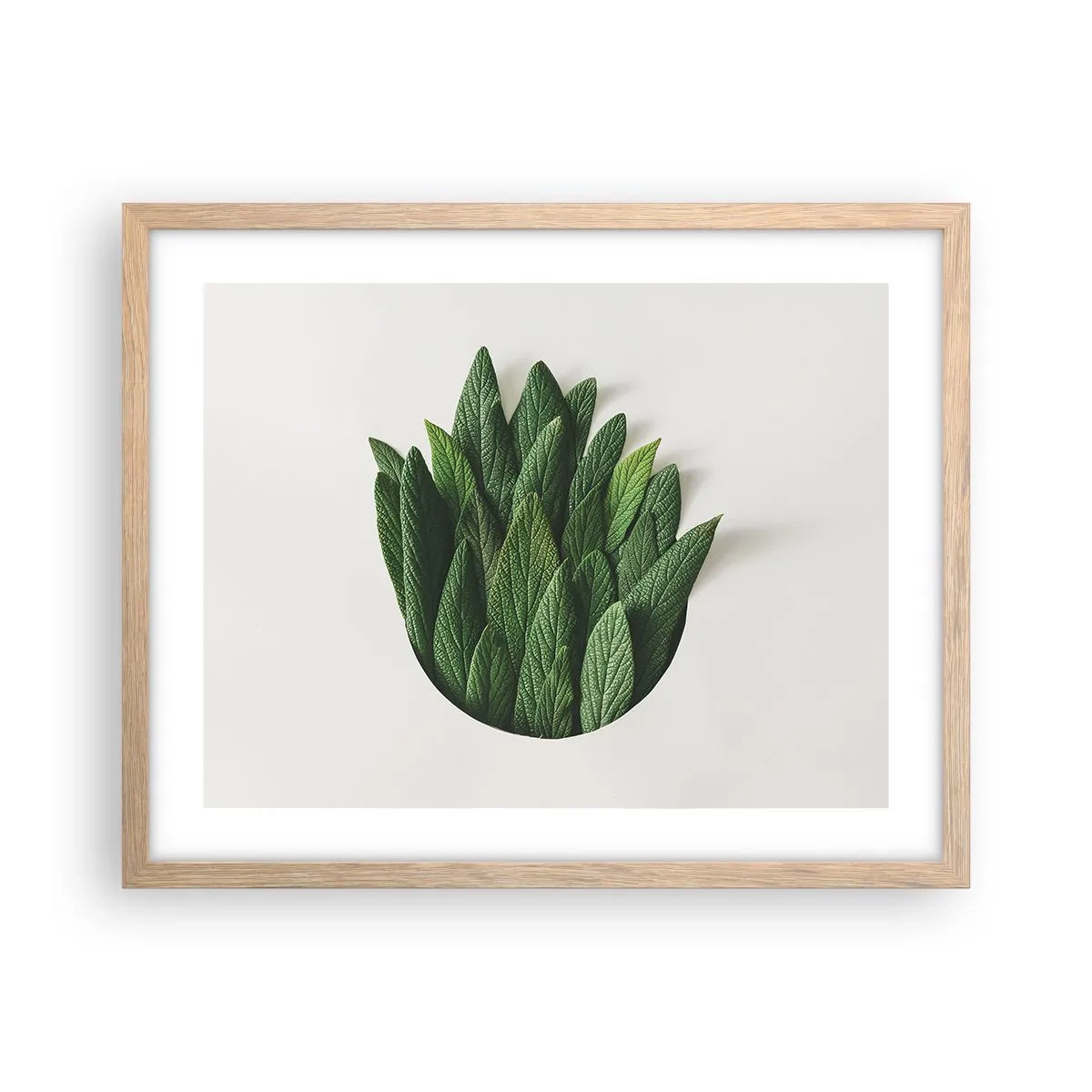 Poster in cornice rovere chiaro - Curiosità irrefrenabile - 50x40 cm