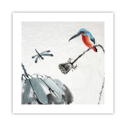 Poster - La vita del prato - 40x40 cm