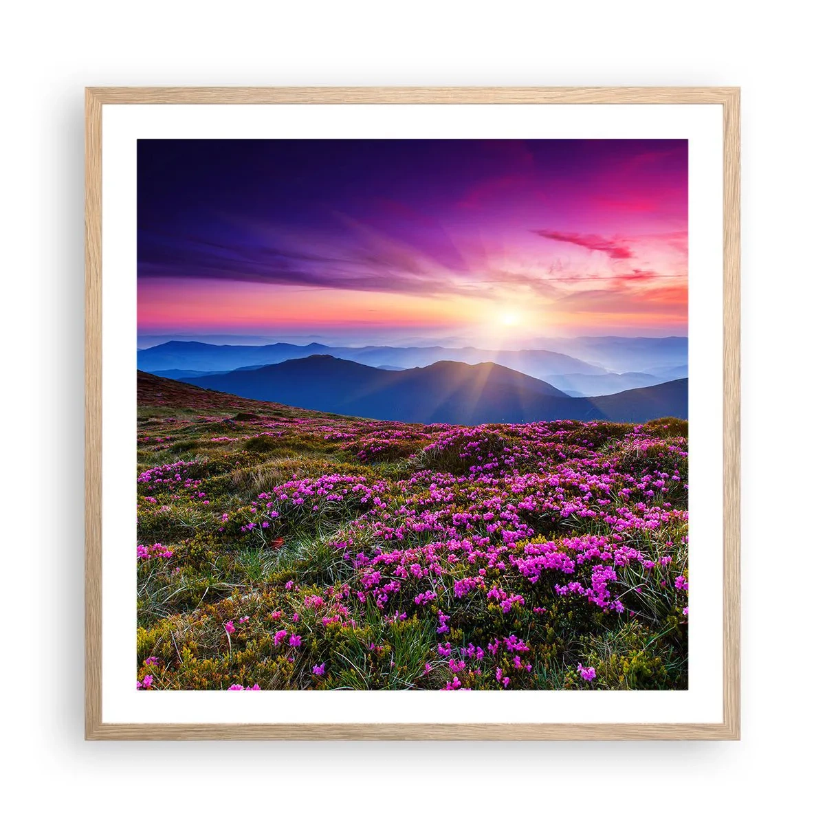 Poster in cornice rovere chiaro - Il profumo dei fiori freschi del campo - 60x60 cm