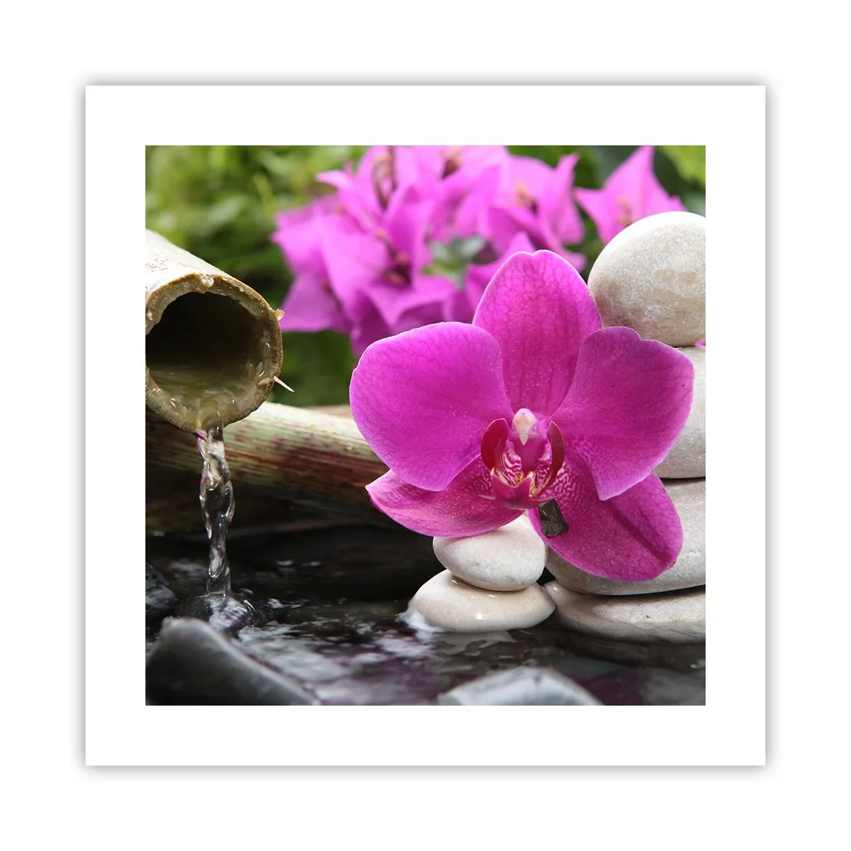 Poster - E già ti riposi - 40x40 cm