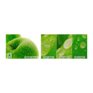Campione di Fotomurale Premium Canvas - Rinfrescante verde freschezza - Frutta, Mela, Gastronomia - 100x30 cm