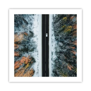 Poster - Tagliando la foresta invernale - 50x50 cm