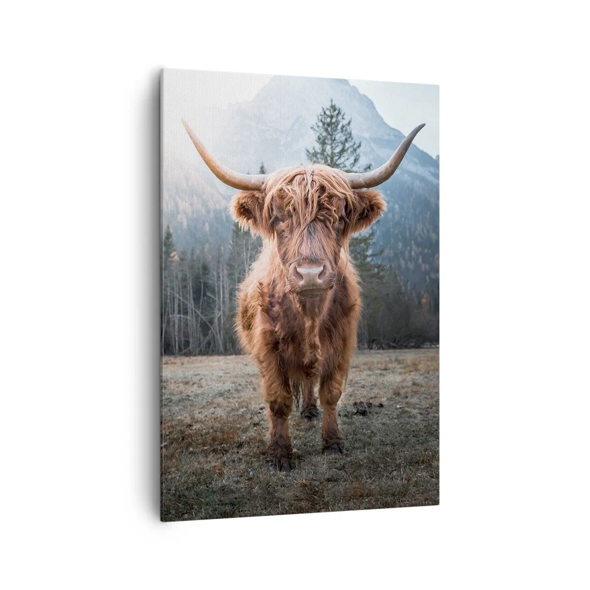 Quadro su tela - Stampe su Tela - Saluti dal prato montano - 70x100 cm