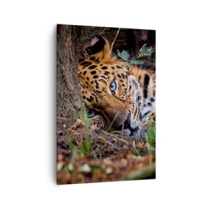 Quadro su tela - Stampe su Tela - Un leopardo sdraiato all'ombra degli alberi - 70x100cm - Fidati di me - Decorazione murale moderna per soggiorno e camera da letto ARTTOR