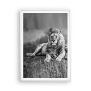 Poster in cornice bianca - La siesta del re - 70x100 cm