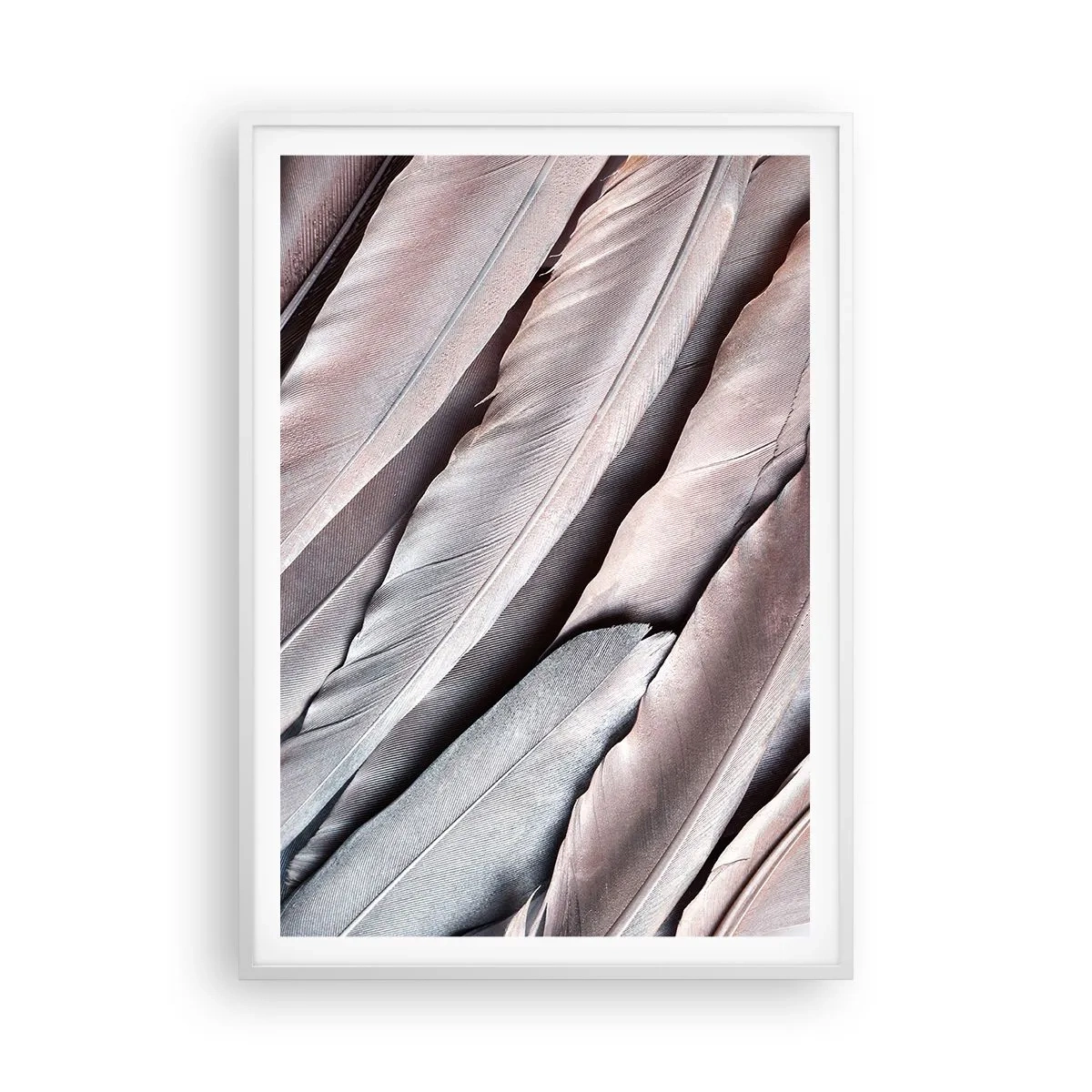 Poster in cornice bianca - Argento rosato - 70x100 cm