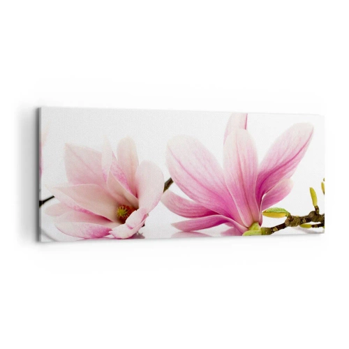 Quadro su tela - Stampe su Tela - Delicate magnolie rosa su sfondo bianco - 120x50cm - Delicati come un soffio di primavera - Decorazione murale moderna per soggiorno e camera da letto ARTTOR