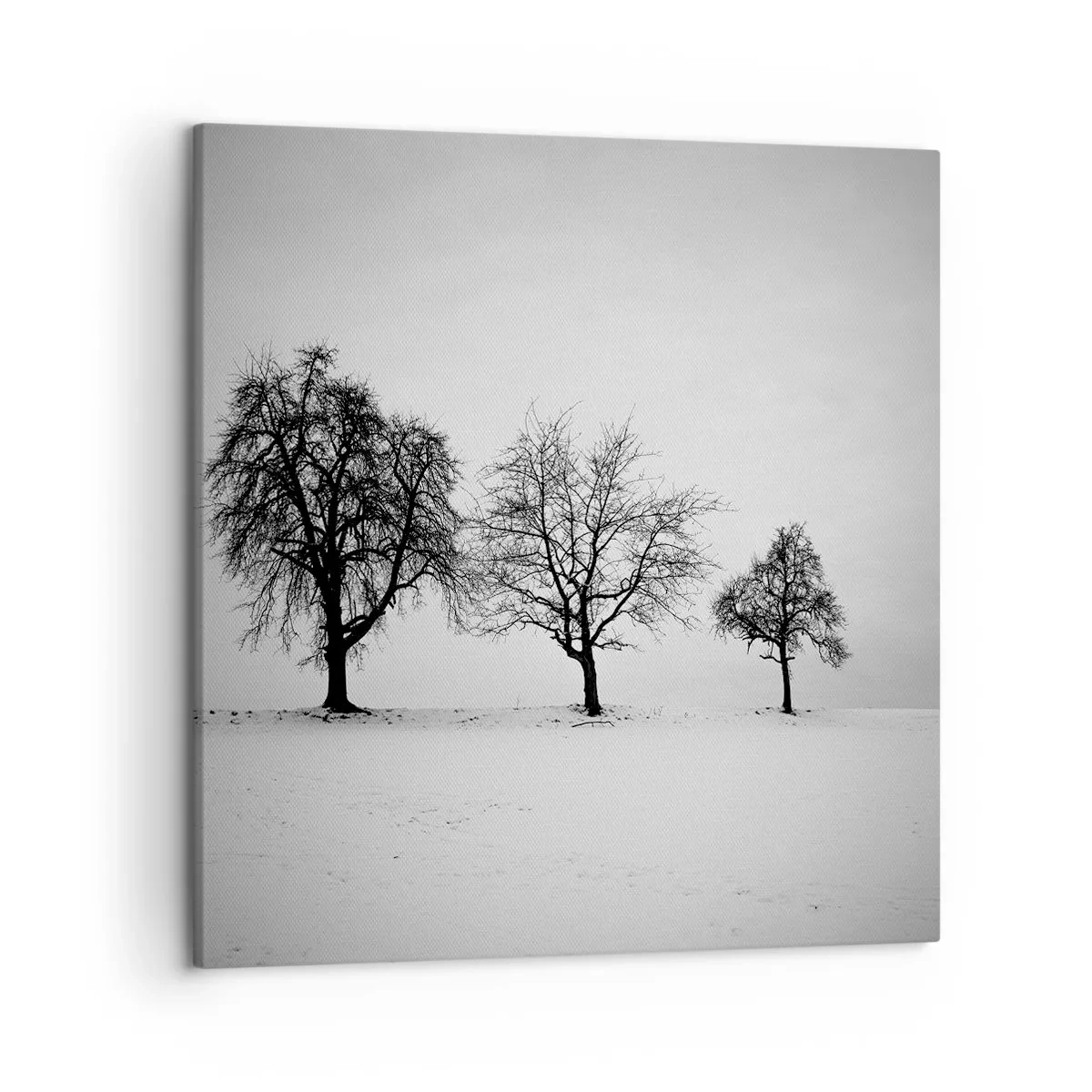 Quadro su tela - Stampe su Tela - Cosa sognano? - 50x50 cm