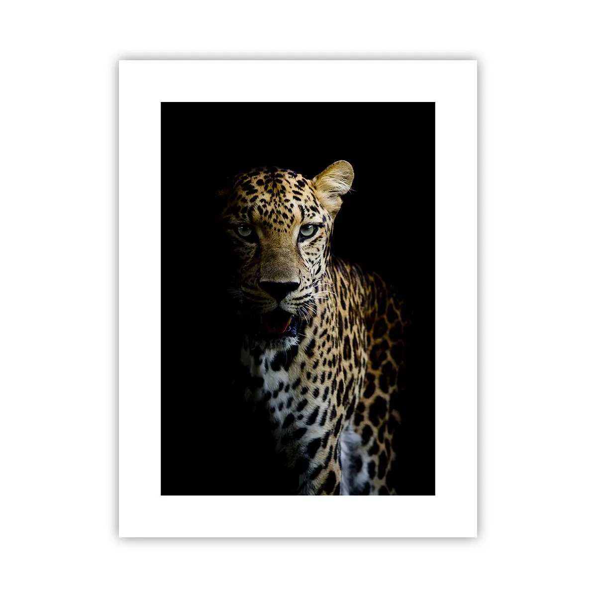 Poster - Bellezza tenebrosa - 30x40 cm