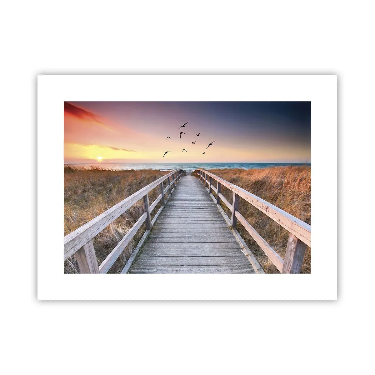 Poster - Spazio per volare - 40x30 cm