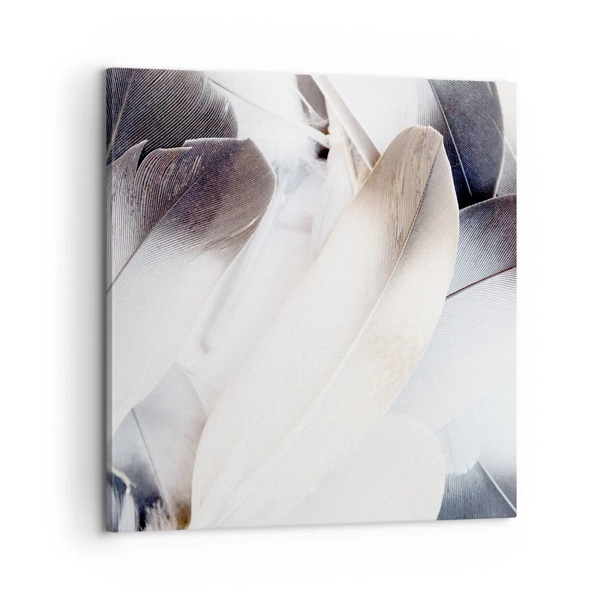 Quadro su tela - Stampe su Tela - Quasi angeliche - 60x60 cm