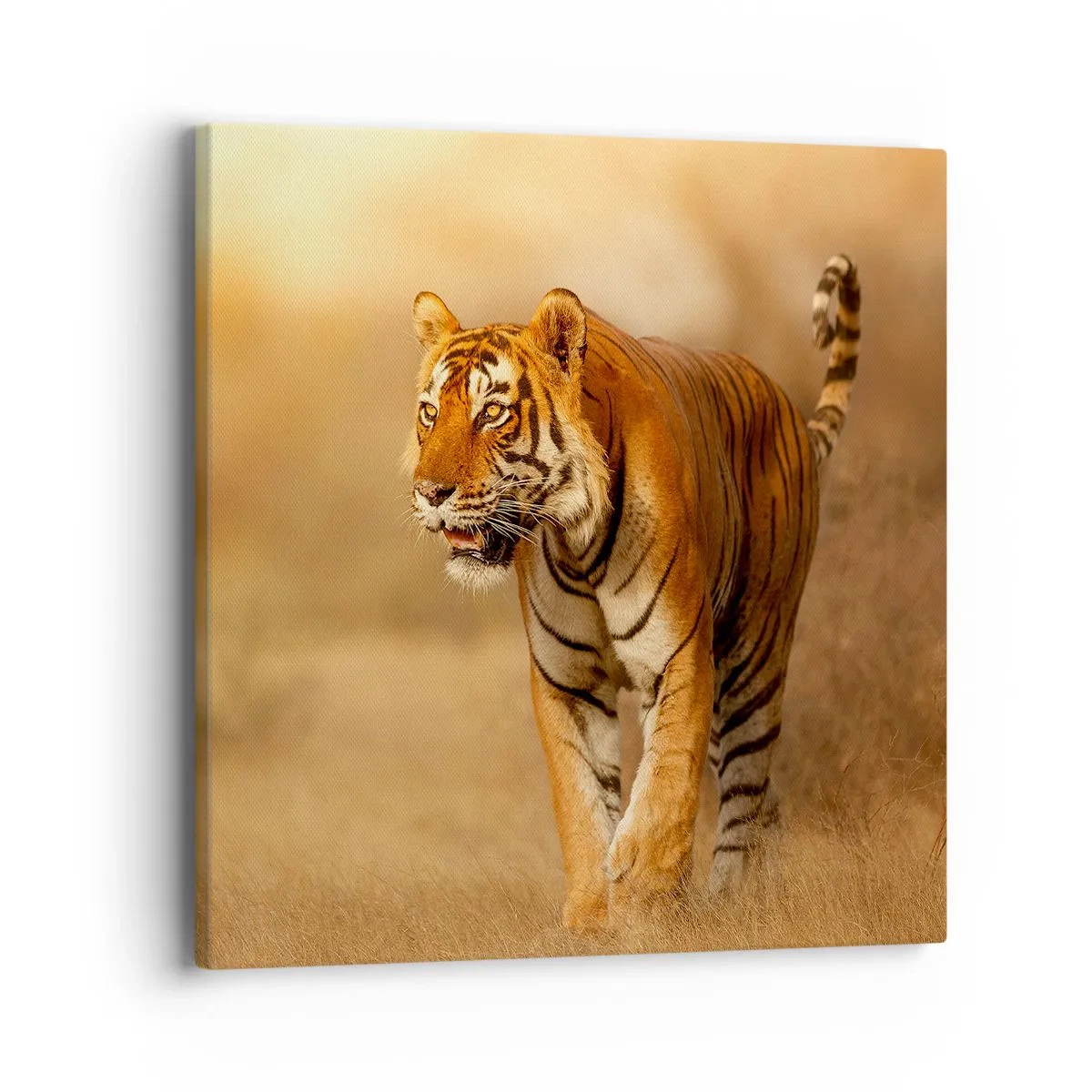 Quadro su tela - Stampe su Tela - Prima dell'attacco - 40x40 cm