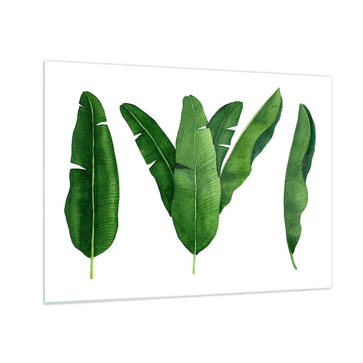 Quadro su vetro - Quattro foglie di banano verde su sfondo bianco - 70x50cm - Simmetria verde - Decorazione murale moderna per soggiorno e camera da letto ARTTOR