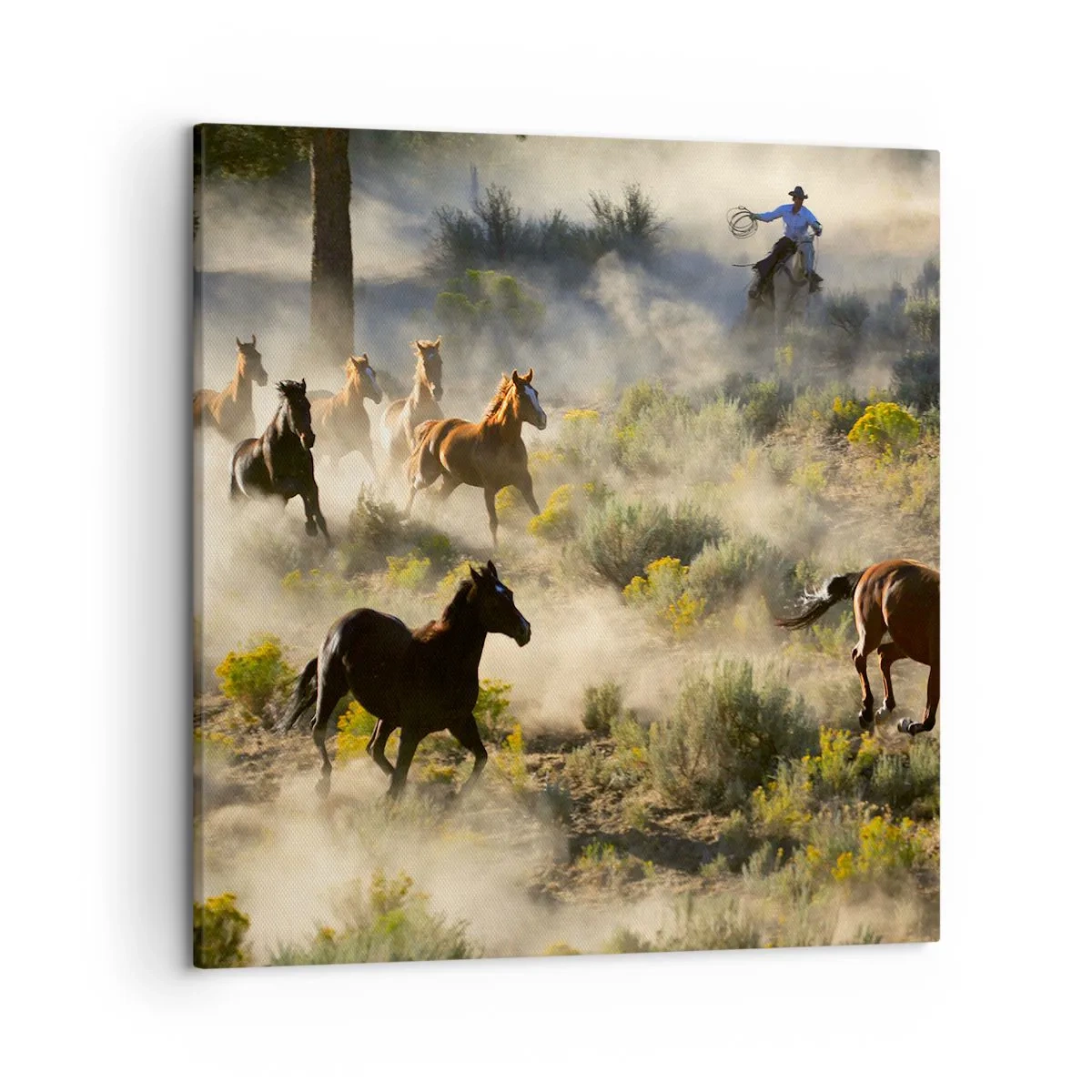 Quadro su tela - Stampe su Tela - Rivalità: libertà o forza mascolina? - 50x50 cm