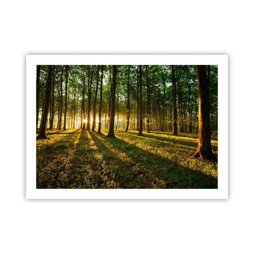 Poster - La foto di ogni primavera - 70x50 cm