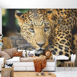 Fotomurali Premium Canvas - Ritratto di un leopardo nel suo ambiente naturale - 100x70cm - Non temere, avvicinati - Decorazione murale moderna per soggiorno e camera da letto ARTTOR