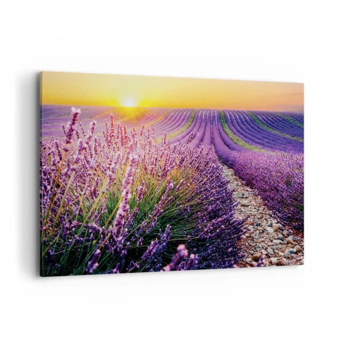 Quadro su tela - Stampe su Tela - Campo di lavanda al tramonto - 100x70cm - Campo profumato - Decorazione murale moderna per soggiorno e camera da letto ARTTOR