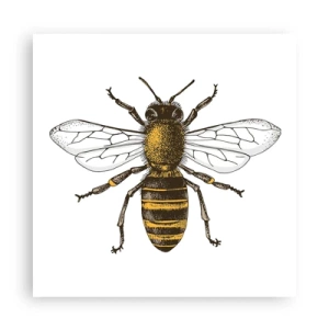 Poster - Bella e buona - 60x60 cm