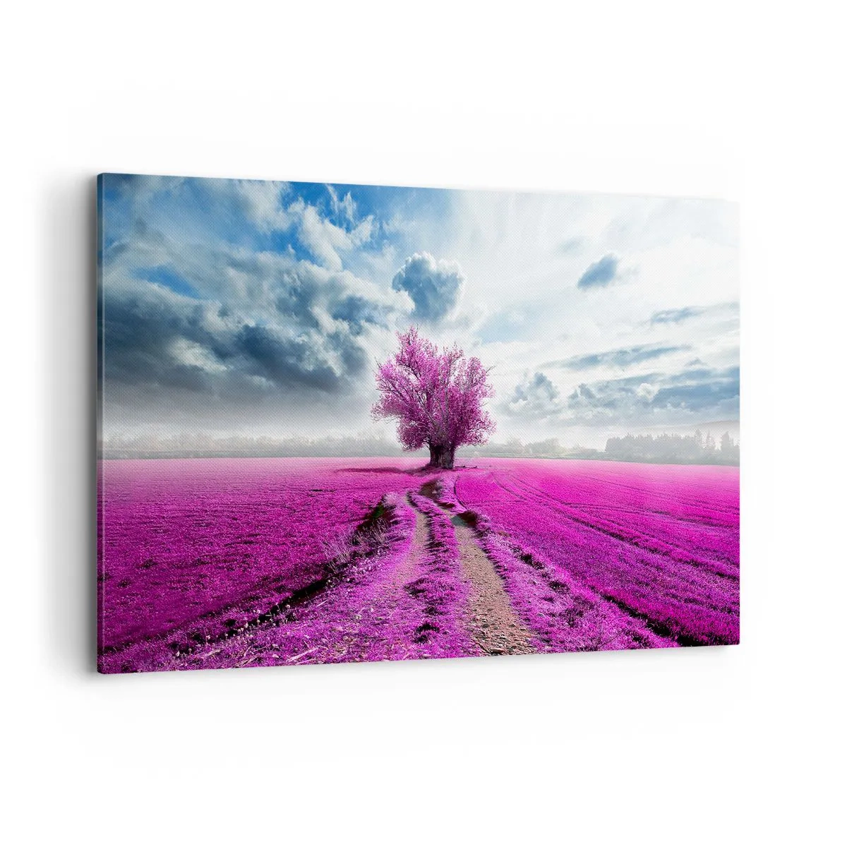 Quadro su tela - Stampe su Tela - Un albero solitario in un campo in una tonalità di rosa intenso - 100x70cm - Brughiera selvatica - Decorazione murale moderna per soggiorno e camera da letto ARTTOR