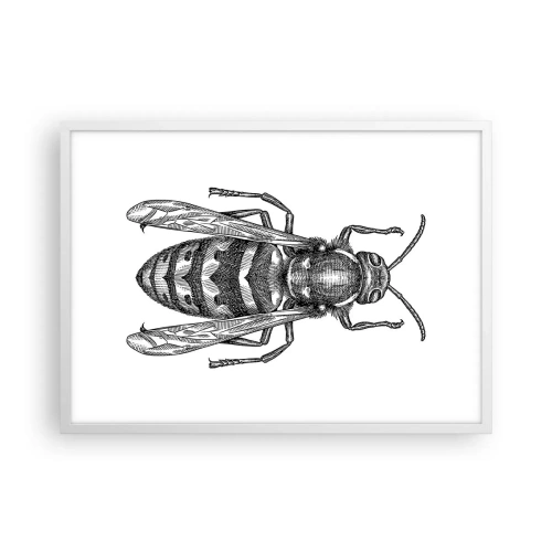 Poster in cornice bianca - Dal pianeta degli insetti - 70x50 cm