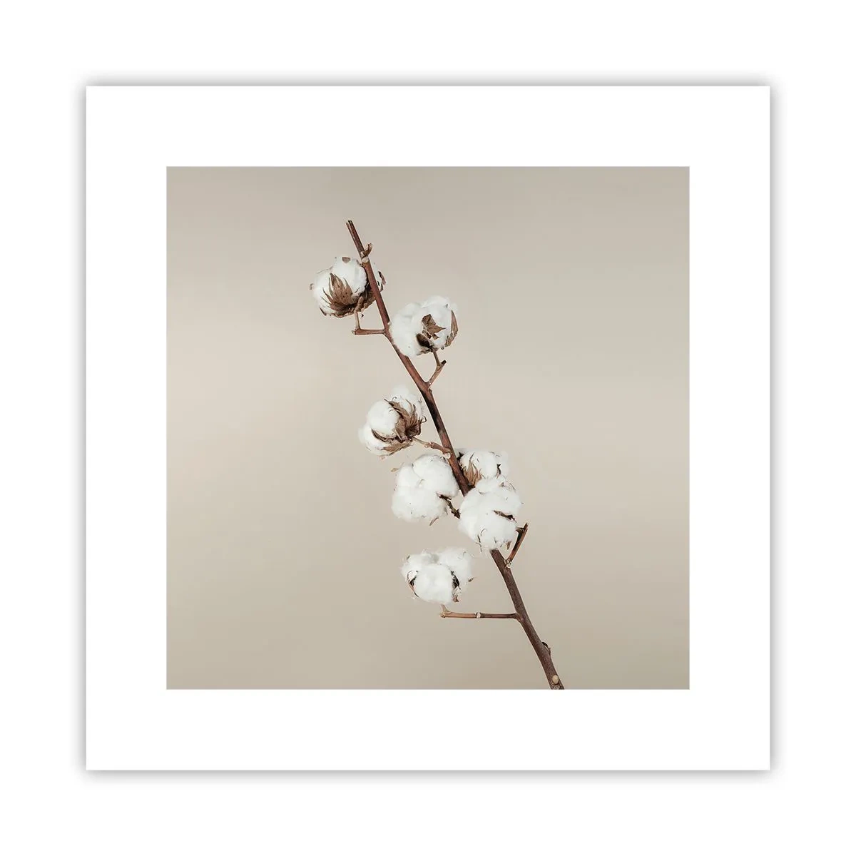 Poster - Alla fonte della morbidezza - 30x30 cm