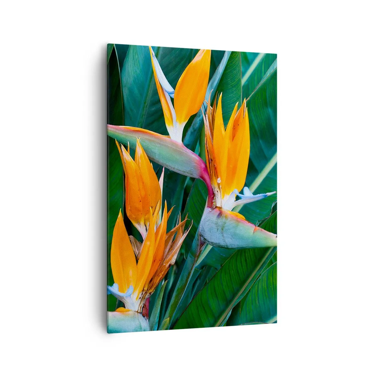 Quadro su tela - Stampe su Tela - Fiori esotici di strelitzia circondati da foglie verdi - 80x120cm - È un fiore o un uccello? - Decorazione murale moderna per soggiorno e camera da letto ARTTOR