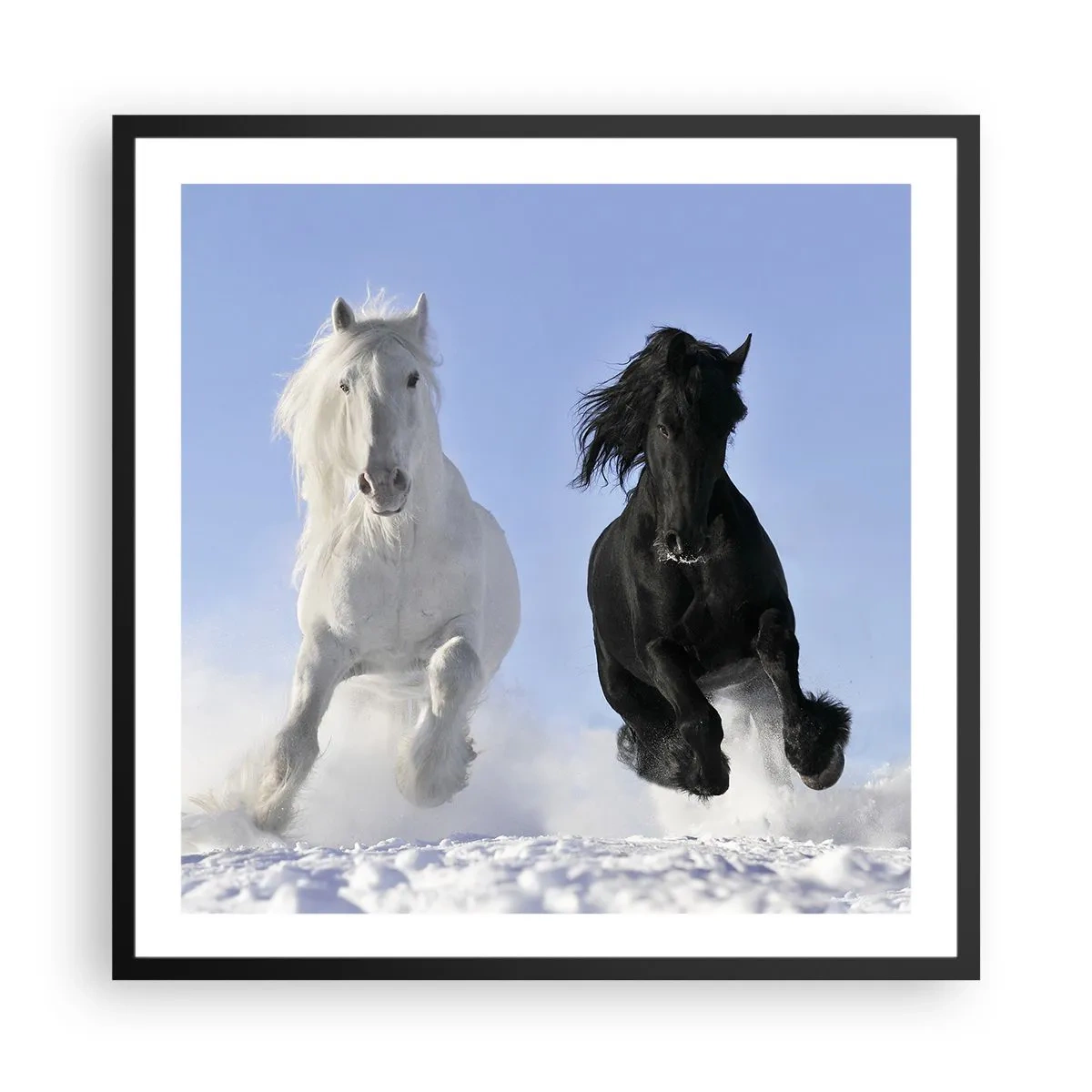 Poster in cornice nera - Galoppo in bianco e nero - 60x60 cm