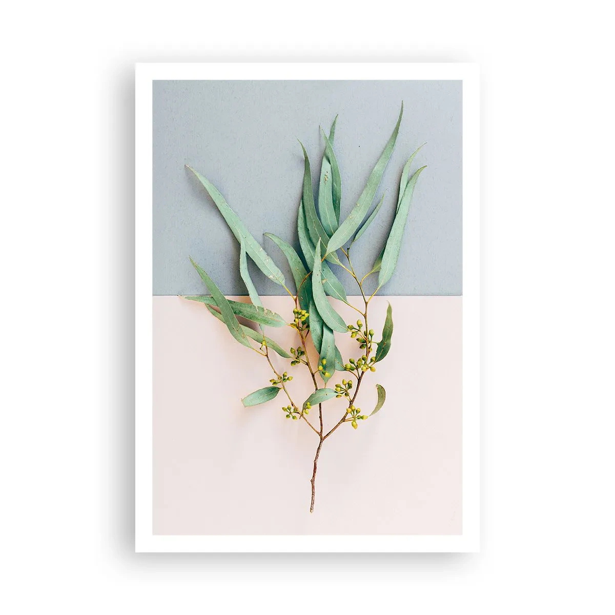 Poster - Delicatezza pastello - 70x100 cm