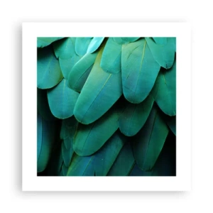 Poster - Precisione da pappagallo - 40x40 cm