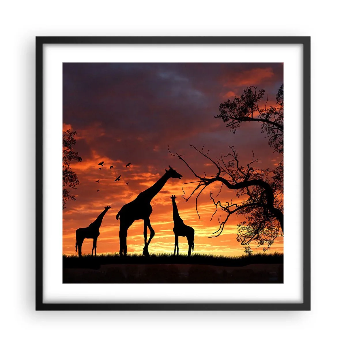 Poster in cornice nera - Piccola cena tra amici - 50x50 cm