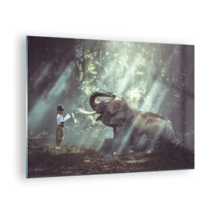Quadro su vetro - Un ragazzo con un libro e un elefante in una foresta - 70x50cm - Ascoltalo… - Decorazione murale moderna per soggiorno e camera da letto ARTTOR