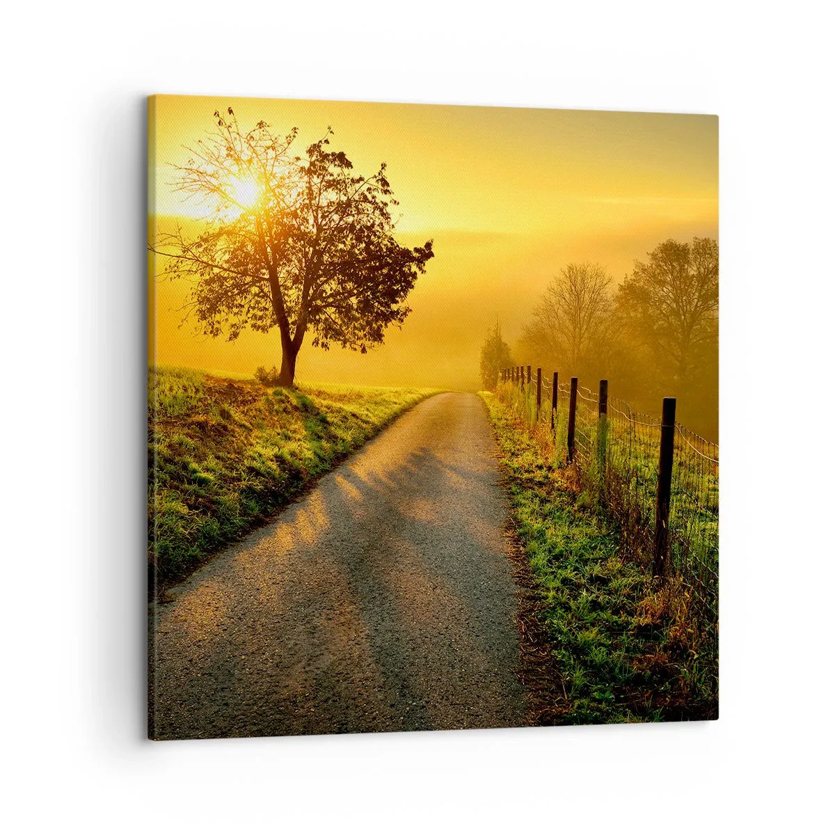 Quadro su tela - Stampe su Tela - Pomeriggio di miele - 50x50 cm